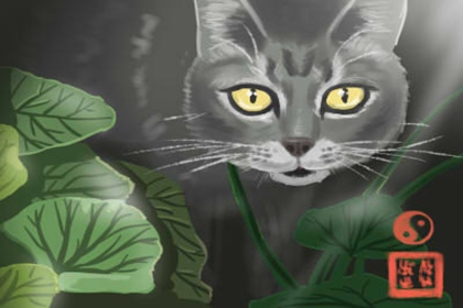 阴宅风水直断口诀 民俗口诀